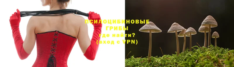 Псилоцибиновые грибы Magic Shrooms  даркнет наркотические препараты  Волгореченск  где продают  